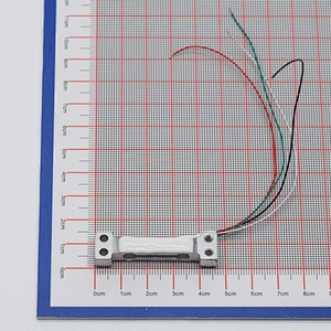 Weight Sensor 100g