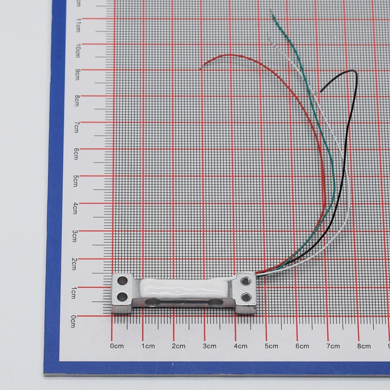 Weight Sensor 100g
