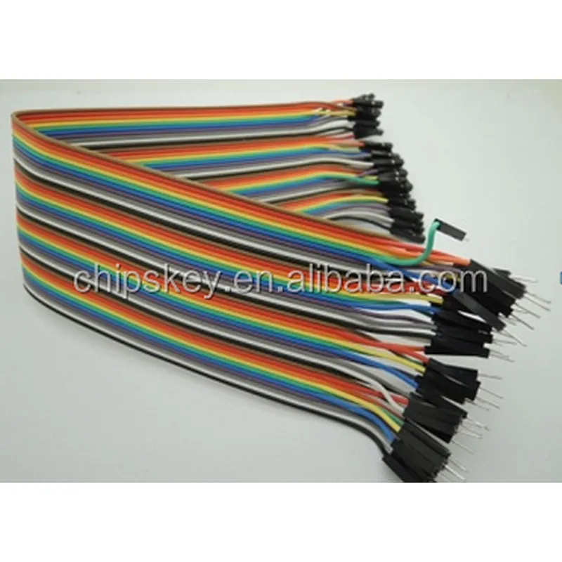 30CM Rainbow Cable 40P Male to Female