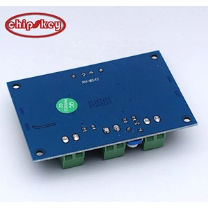 TPA3116D2 board DC 12-26V 100W TPA3116DA Mono Channel digital Power audio amplifier XH-M542