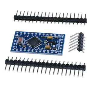 Chipskey Neutral Without LOGO Pro Mini 5V/3.3V For Arduinos