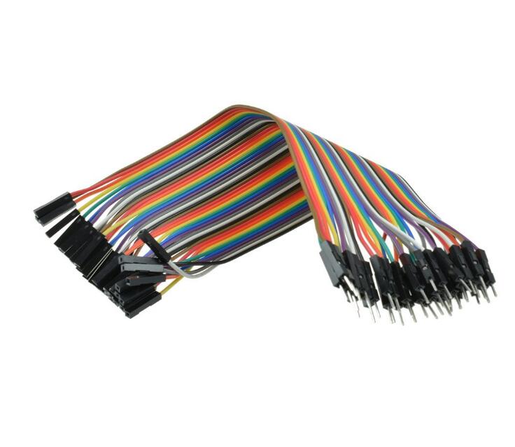 Male to Female 20CM 40P DuPont color cable