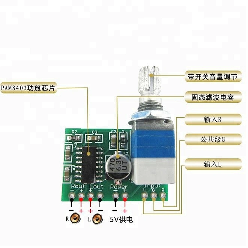 Digital Power Amplifier Board XH-M177 PAM8403