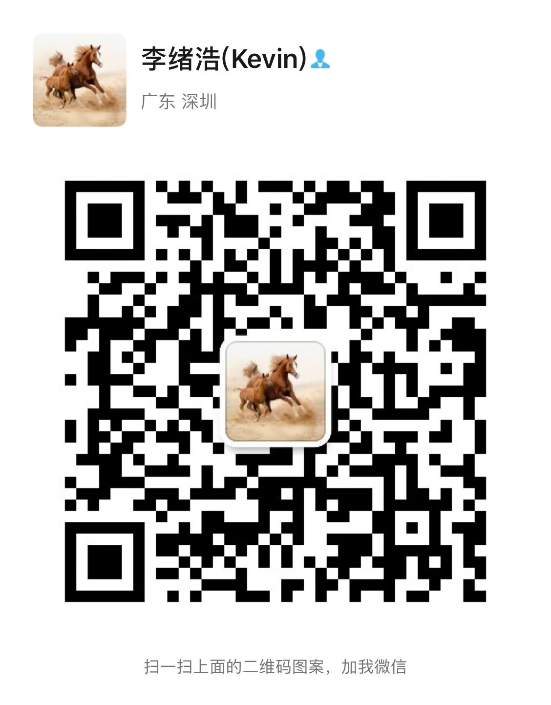 qr code