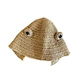 weave straw hat