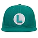 W Embroidered Snapback hat