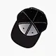 embroidered new era