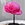 black straw hat womens