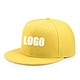 Custom Colors Embroidery Snapback Hat Cap