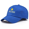 Cap Baseball Custom Logo