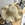 summer straw hat