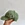 Custom Bear Print logo Snapback cap