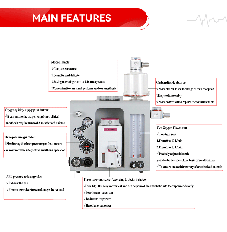 Portable Anesthesia Machine gsm-ii main features