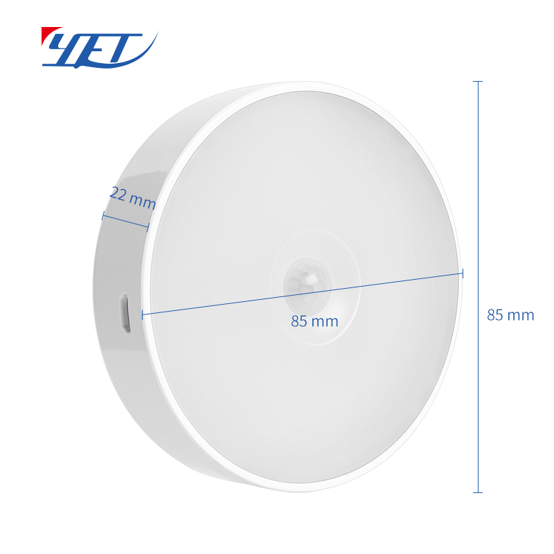 motion sensor light