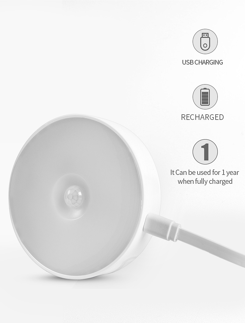 motion sensor light