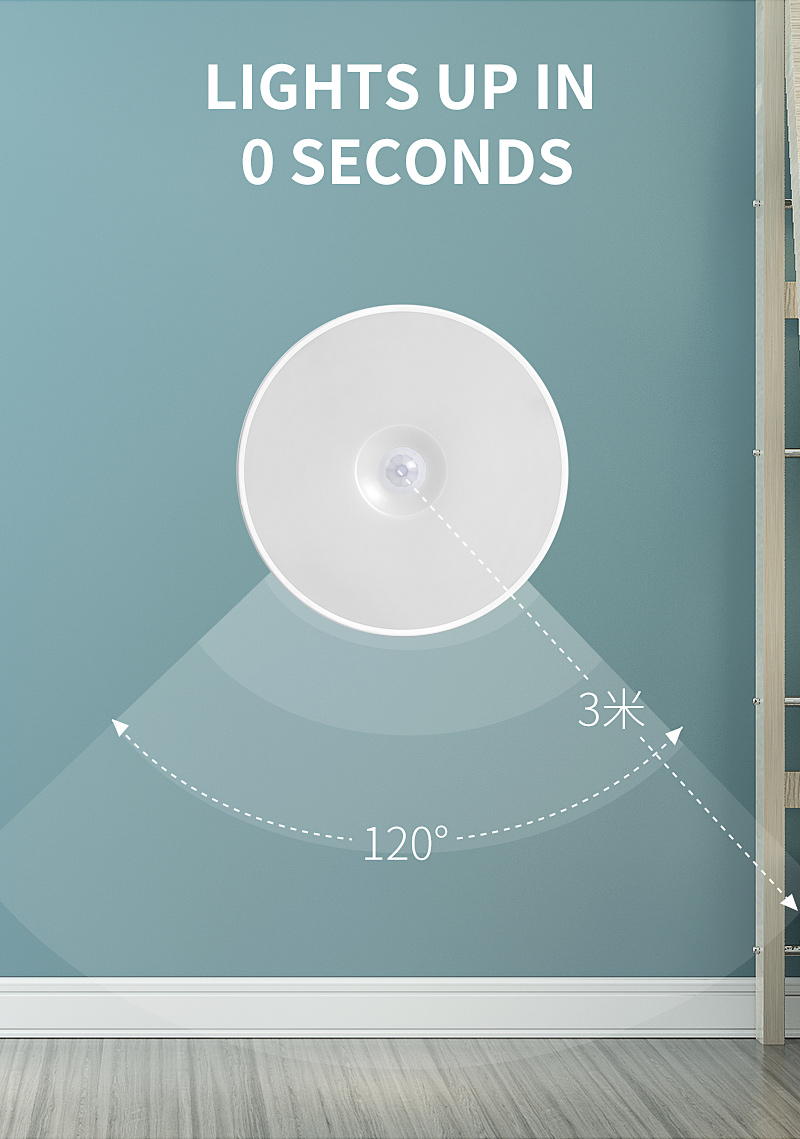 motion sensor light