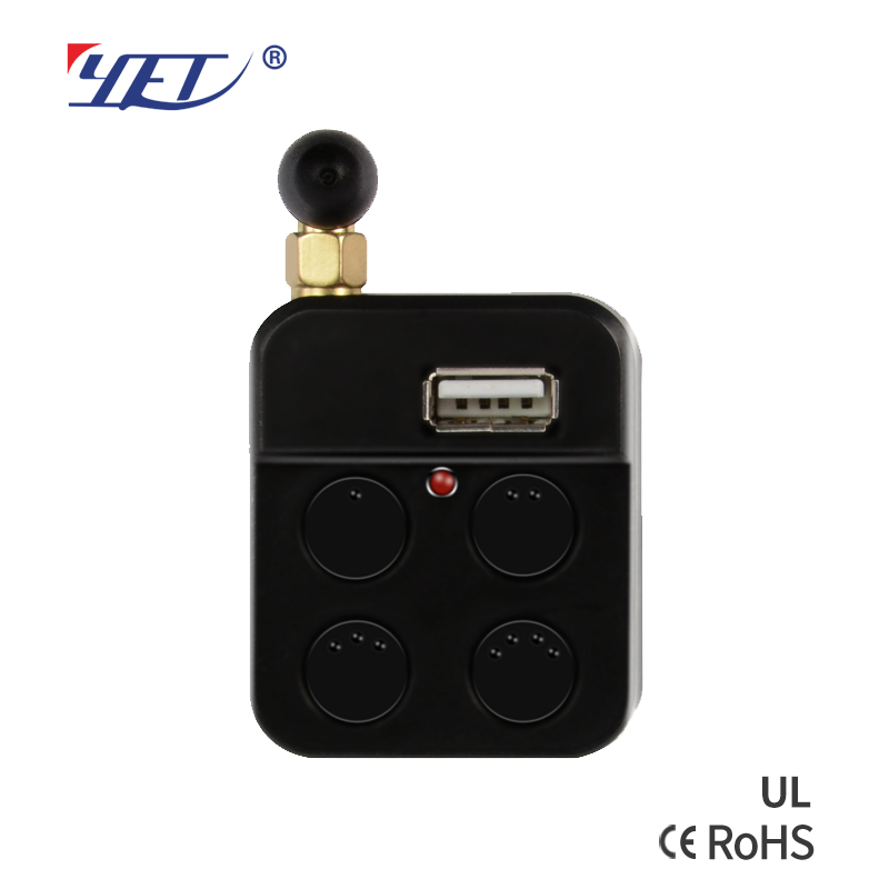vehicle remote control