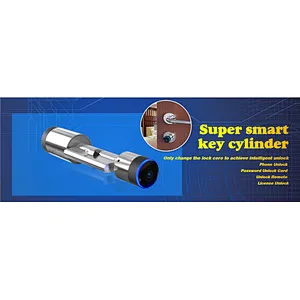 Lora Gateway Hotel  smart cylinder digital door lock control by APP