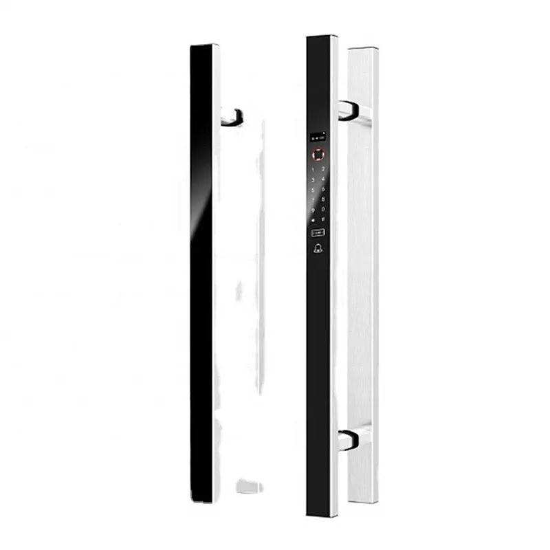 New Product 2020 Smart Electric Handle Lock for Single Door/double Door