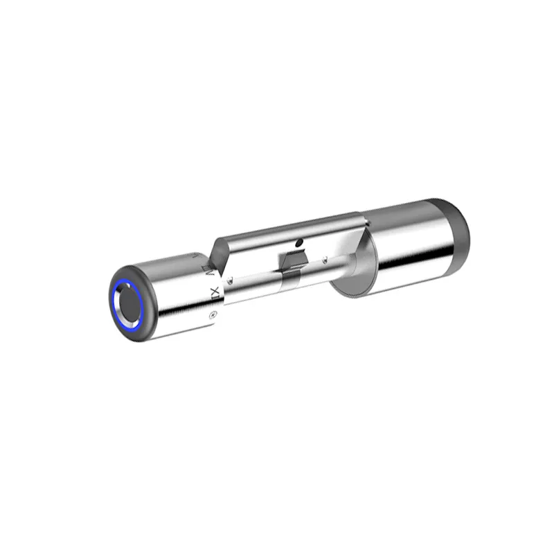 Euro Ukraine Market Mortise Lock Cylinder Door Cylinder Lock Fingerprint Smart Lock Cylinder