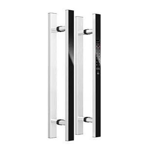 New Product 2020 Smart Electric Handle Lock for Single Door/double Door