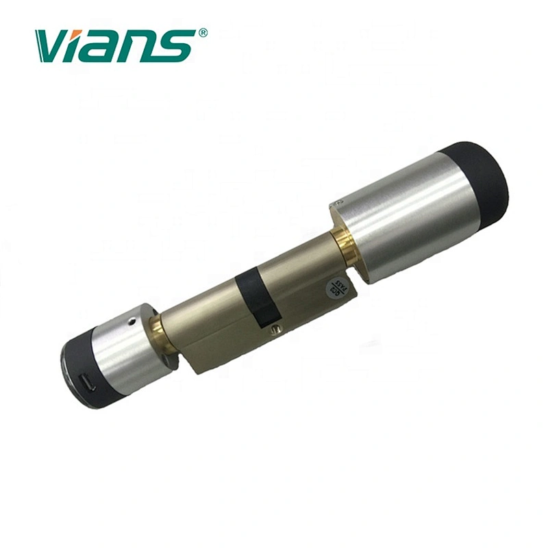 smart home Euro gold smart door lock cylinder with APP remote control