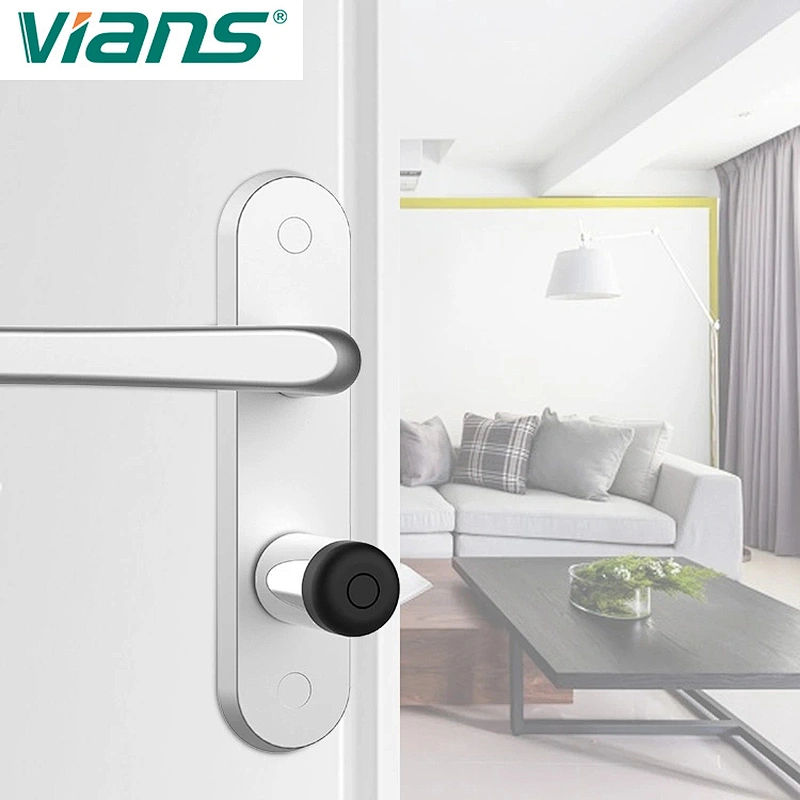 Keyless Euro Standard Stainless Steel Smart Security Digital Luxury Smart Door Lock Cylinder