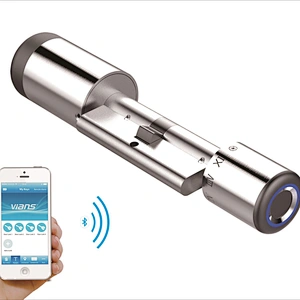 Remote Keyless Intelligent Door Lock Smart Home APP  For Hotel Office Management lock cylinder with card