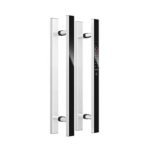 Muti-point Function Wireless App Control Electronic Intelligent Glass Handle Lock