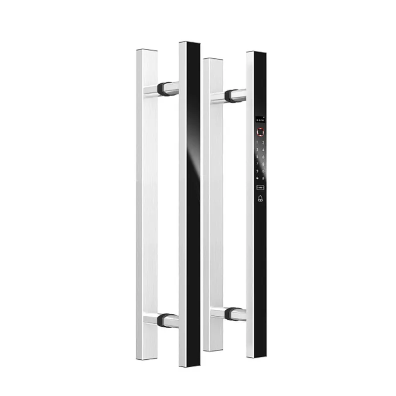 Muti-point Function Wireless App Control Electronic Intelligent Glass Handle Lock