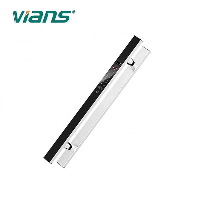 New Product 2020 Smart Electric Handle Lock for Single Door/double Door