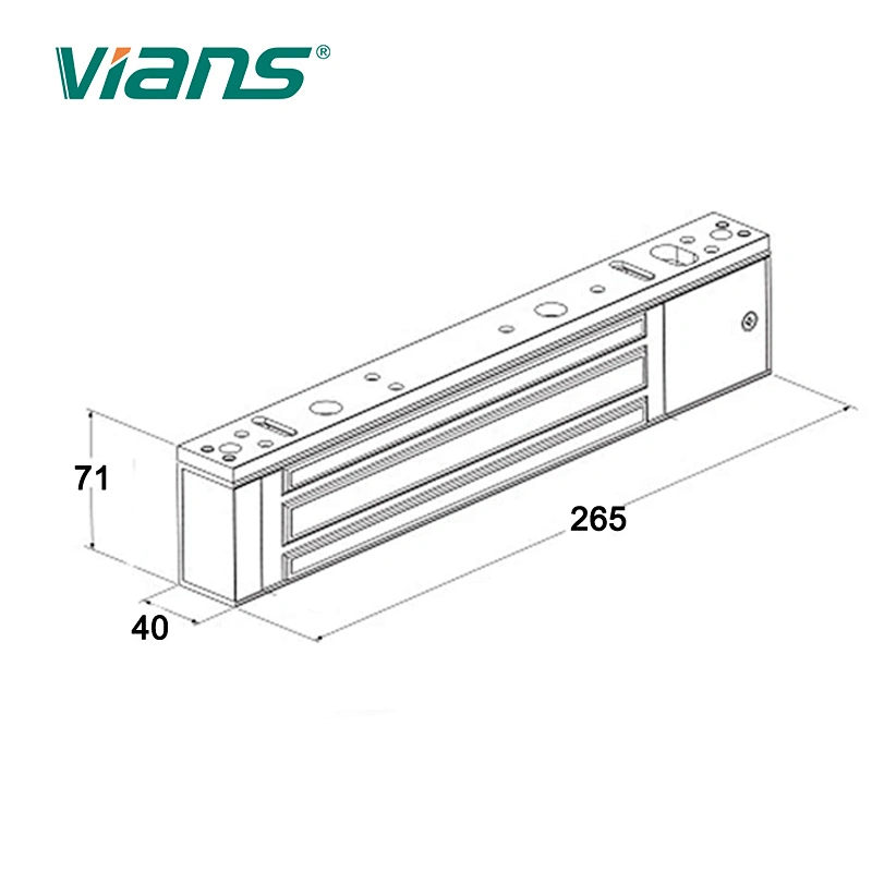 VIANS 600LBS Strong Full Holding Force Pure Copper Wires Electronic Magnetic Door Lock