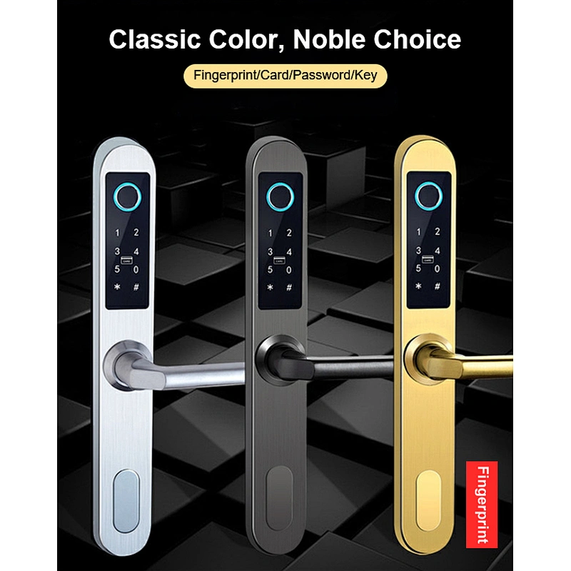 IP65 TT lock Control Electronic Card Apartment Outside Sliding Waterproof Security Stainless steel 6590 Mortise Smart Lock