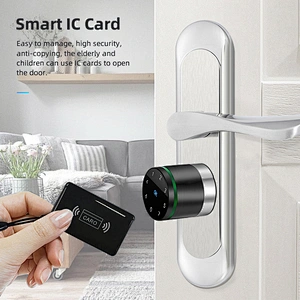VIANS Lora Smart lock cylinder for smart home/hotel Smart euro Profile cylinder lock with hotel management system