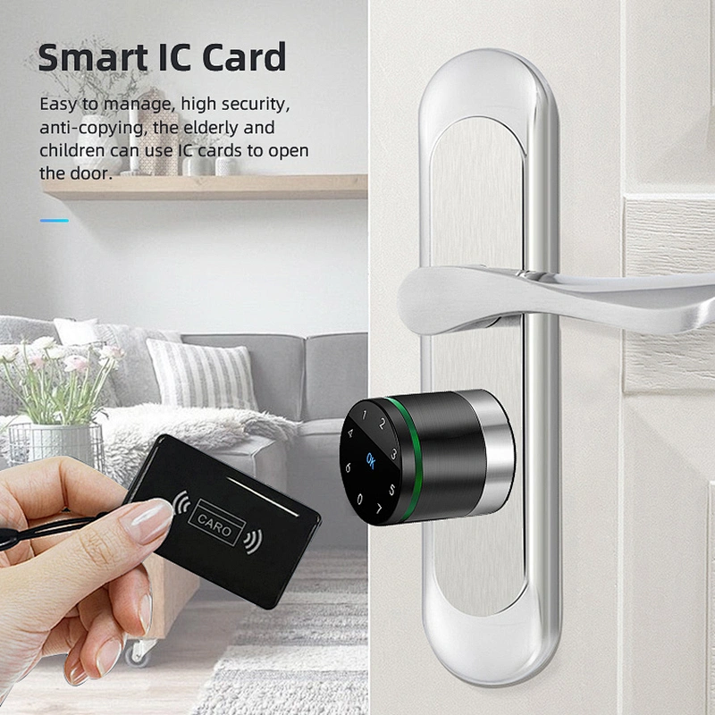 VIANS Lora Smart lock cylinder for smart home/hotel Smart euro Profile cylinder lock with hotel management system