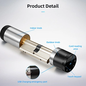 VIANS Lora Smart lock cylinder for smart home/hotel Smart euro Profile cylinder lock with hotel management system
