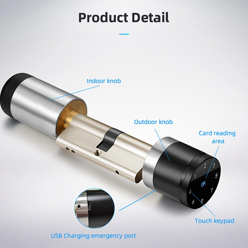 VIANS Lora Smart lock cylinder for smart home/hotel Smart euro Profile cylinder lock with hotel management system