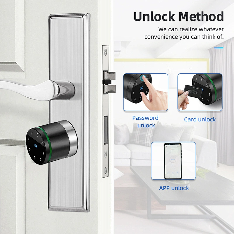 VIANS Lora Smart lock cylinder for smart home/hotel Smart euro Profile cylinder lock with hotel management system