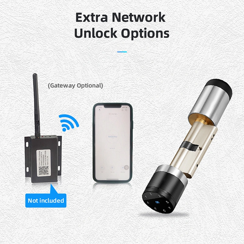 VIANS Lora Smart lock cylinder for smart home/hotel Smart euro Profile cylinder lock with hotel management system