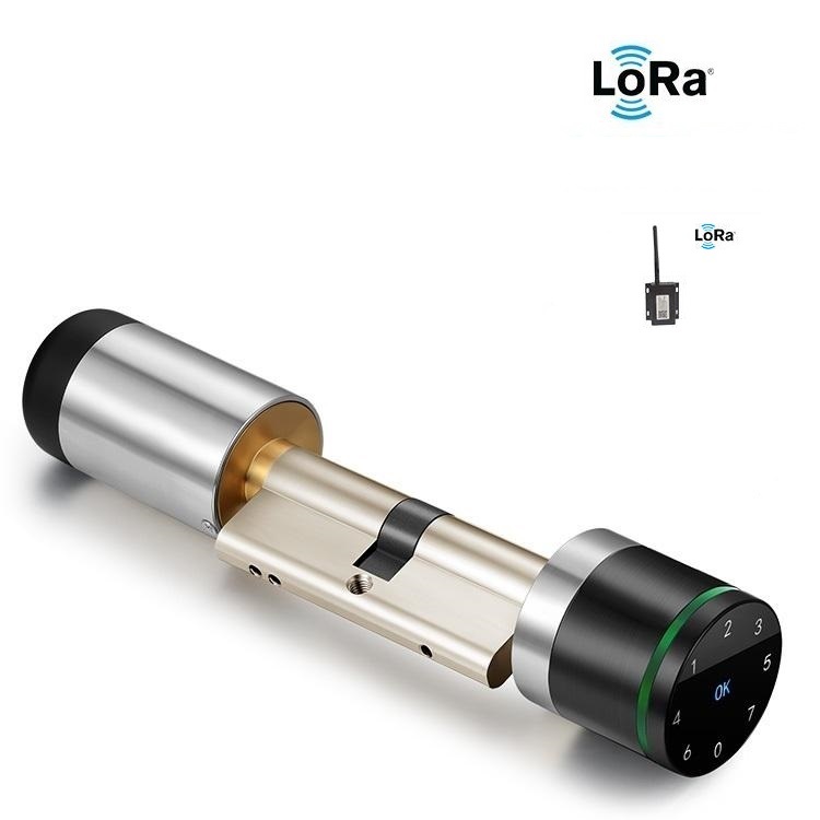 VIANS Lora Smart lock cylinder for smart home/hotel Smart euro Profile cylinder lock with hotel management system