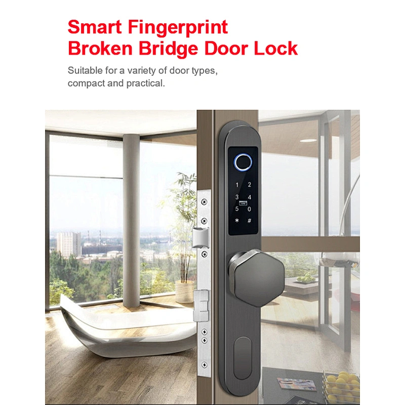 IP65 TT lock Control Electronic Card Apartment Outside Sliding Waterproof Security Stainless steel 6590 Mortise Smart Lock