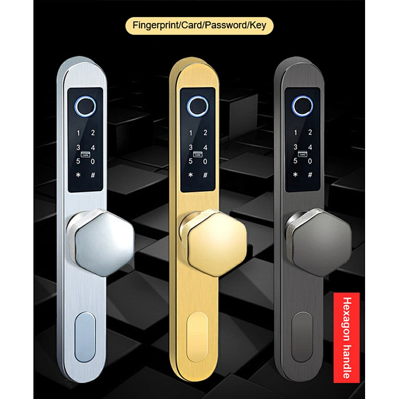 IP65 TT lock Control Electronic Card Apartment Outside Sliding Waterproof Security Stainless steel 6590 Mortise Smart Lock