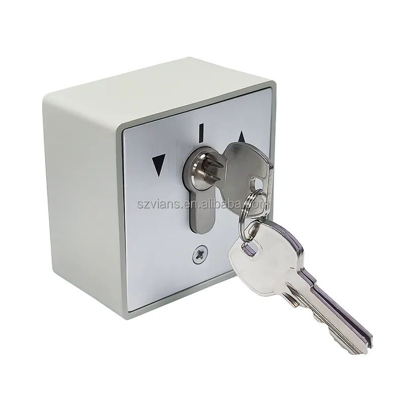 Popular Button For Europe Market Automatic Gate Key Switch Customized cylinder Key switch