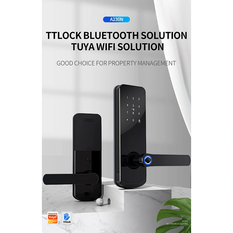 VIANS  various mortise choice gate wifi home tt lock smart digital door lock TT TUYA LOCK