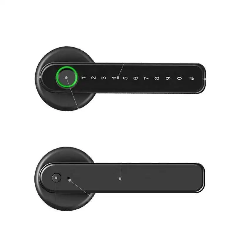 Vians TTlock  Smart Ble Remote Biometrics BLE  Password Keyless Smart Door Lock
