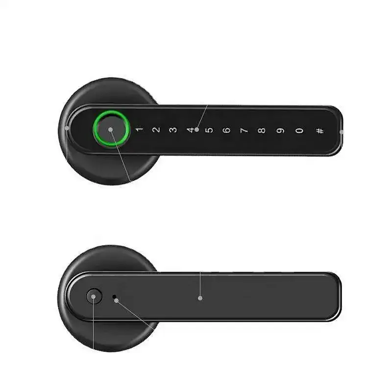 Vians TTlock  Smart Ble Remote Biometrics BLE  Password Keyless Smart Door Lock
