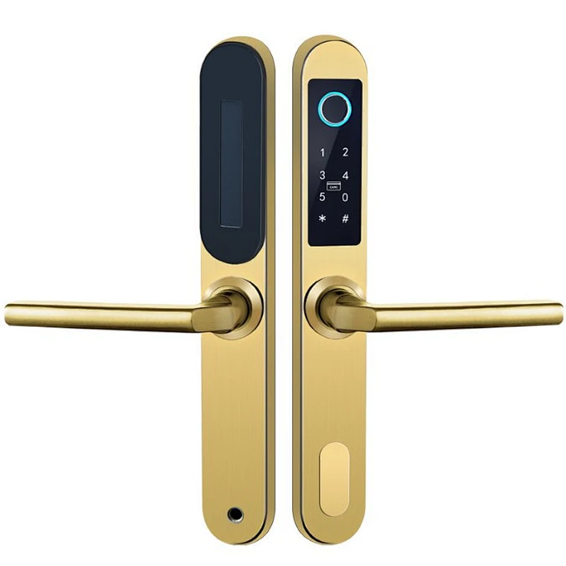 VIANS IP 65 Waterproof Security TT  APP Gateway Control Electronic Smart Card Hotel Apartment Outside Sliding Door Lock