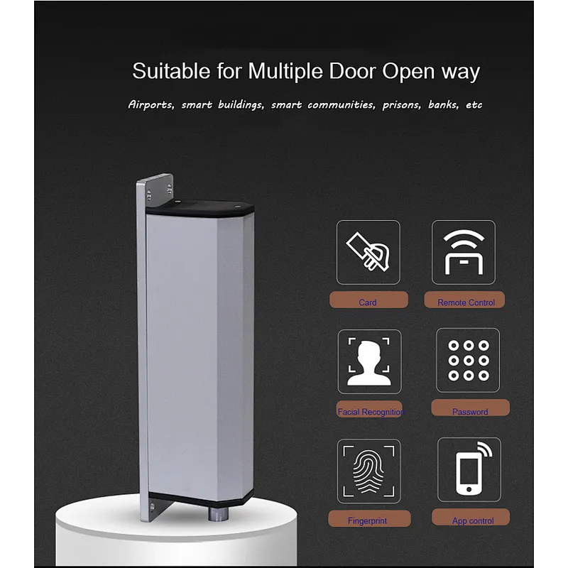 High Performance 80Nm  Remote Control Automatic Swing Gate Opener For Factory Community Gate