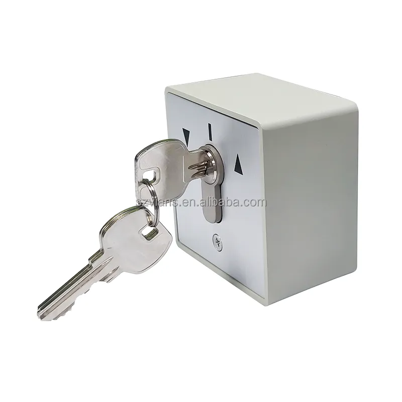 Popular Button For Europe Market Automatic Gate Key Switch Customized cylinder Key switch