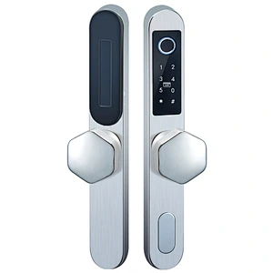 VIANS IP 65 Waterproof Security TT  APP Gateway Control Electronic Smart Card Hotel Apartment Outside Sliding Door Lock